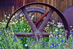 Rusty Farm Wheel