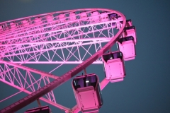 Pink Ferris Wheel