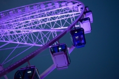 Purple Ferris Wheel
