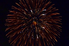 Fireworks Orange Yellow