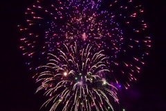 Fireworks Purple White Double