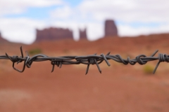 Barbed Wire